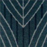 Tulipes