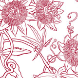 Papier peint Passiflore
